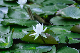 image0187