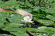 image0188
