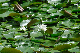 image0189
