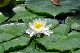 image0190