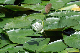 image0191