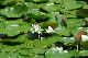 image0201