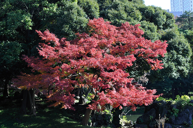 image0098
