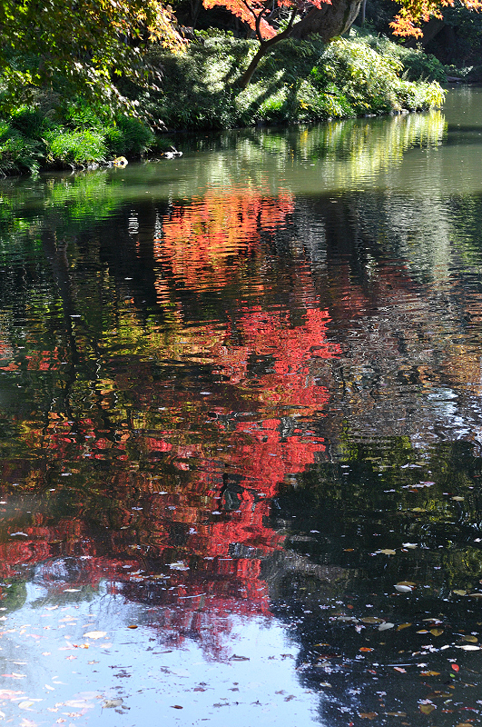image0126