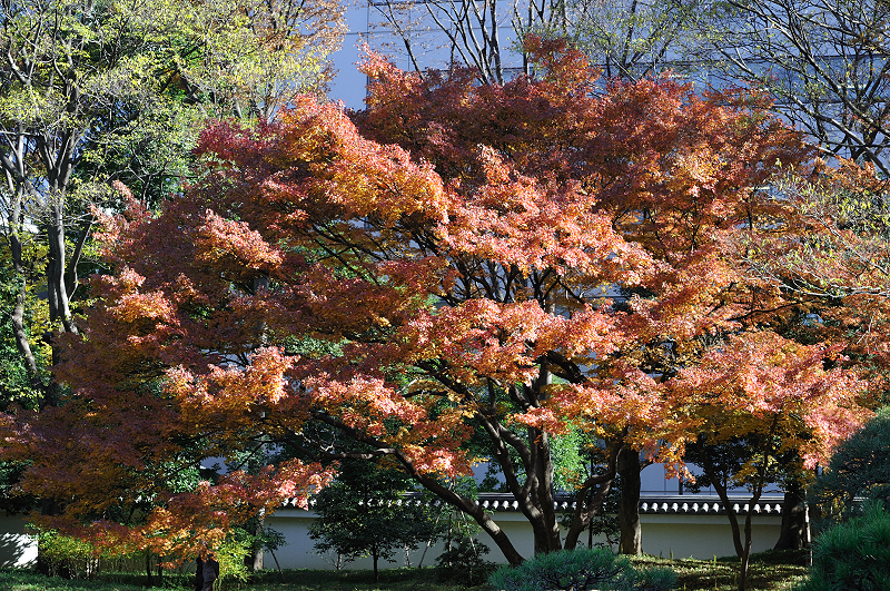 image0149