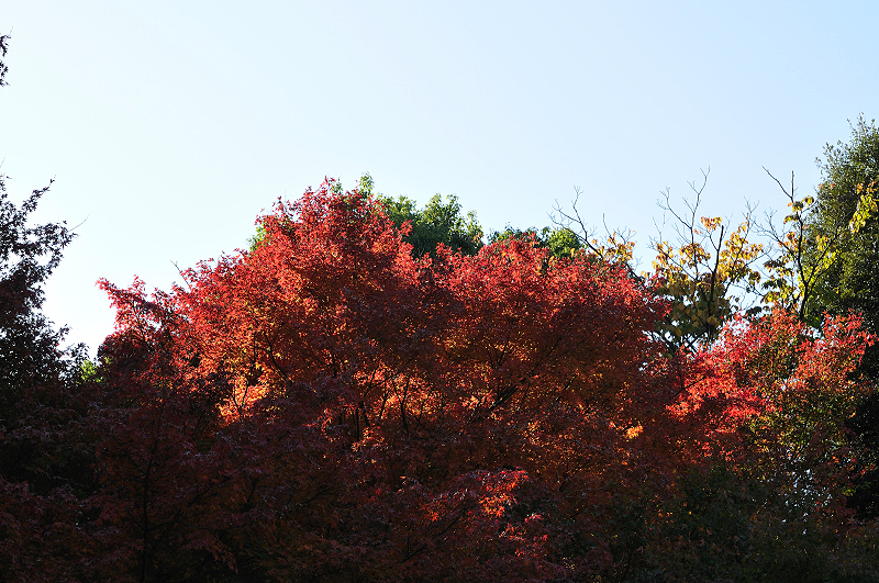image0150