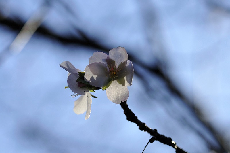 image0156