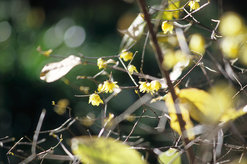 image0034