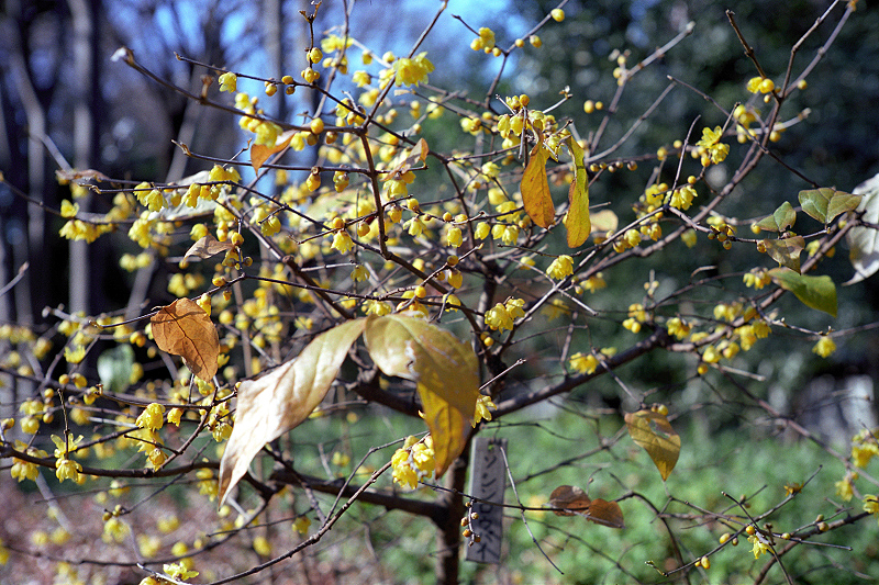 image0046