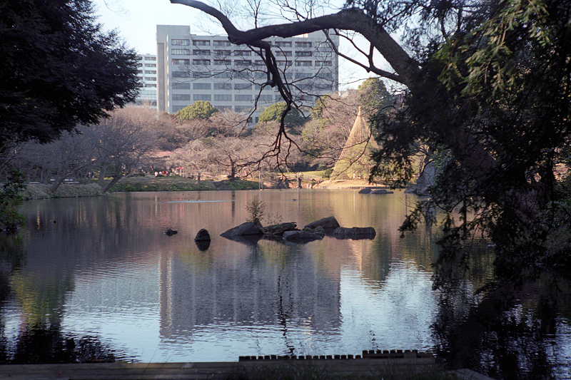 image0055