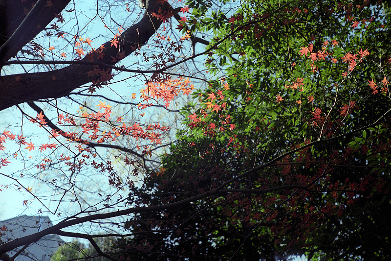 image0065
