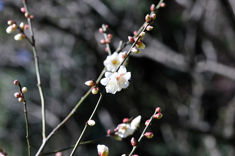 image0103