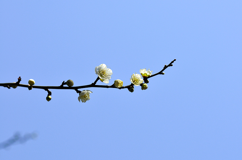 image0100