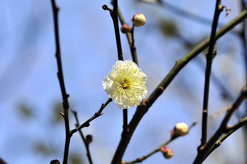 image0102