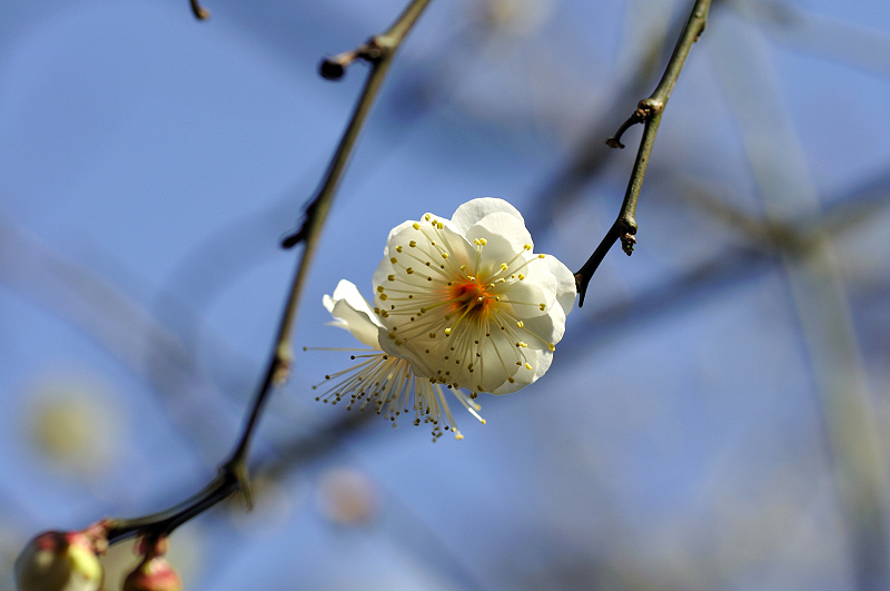image0103