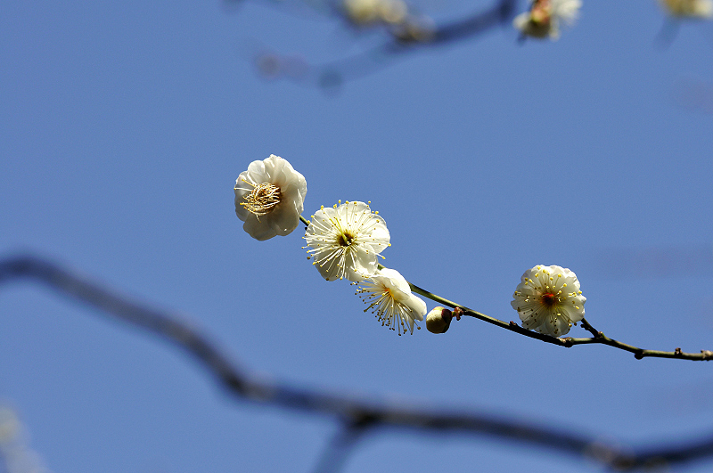 image0104