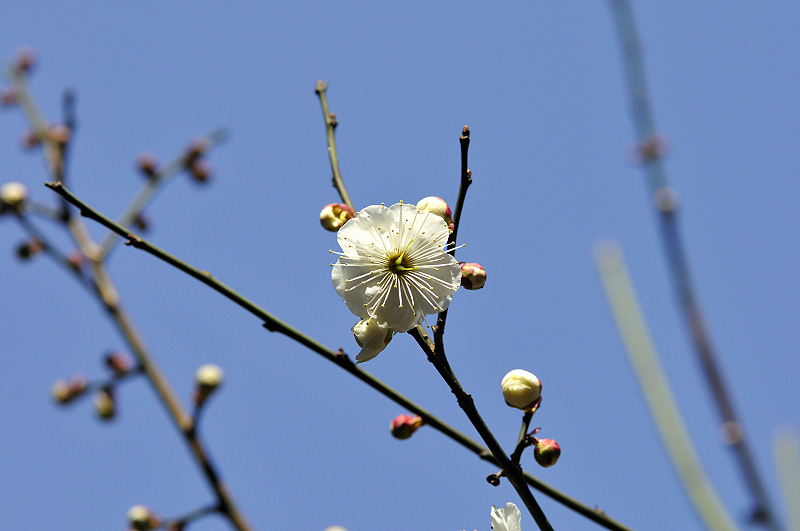 image0107