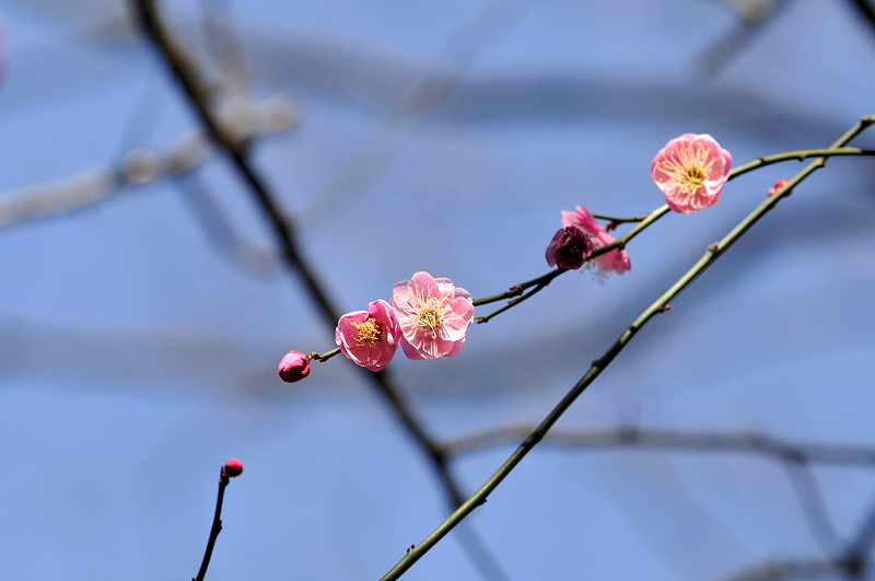 image0108