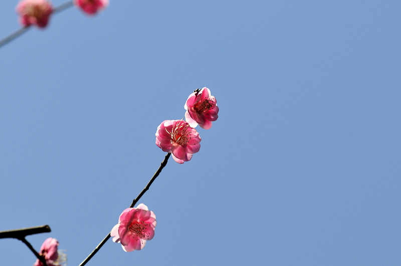 image0110