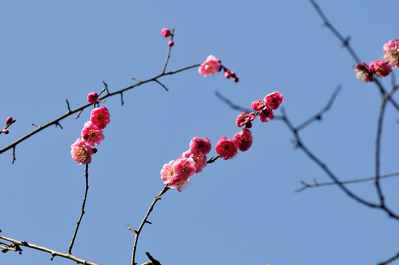 image0113