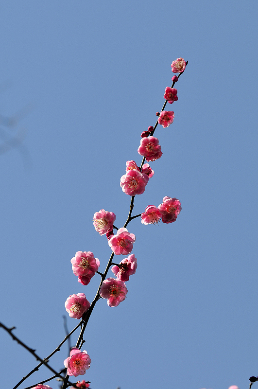 image0114