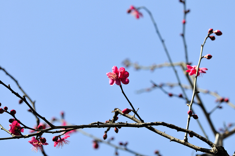 image0115