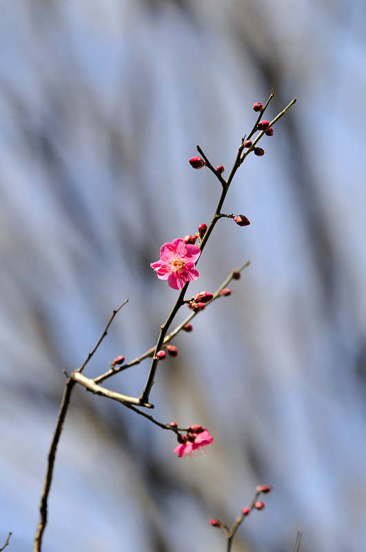 image0116