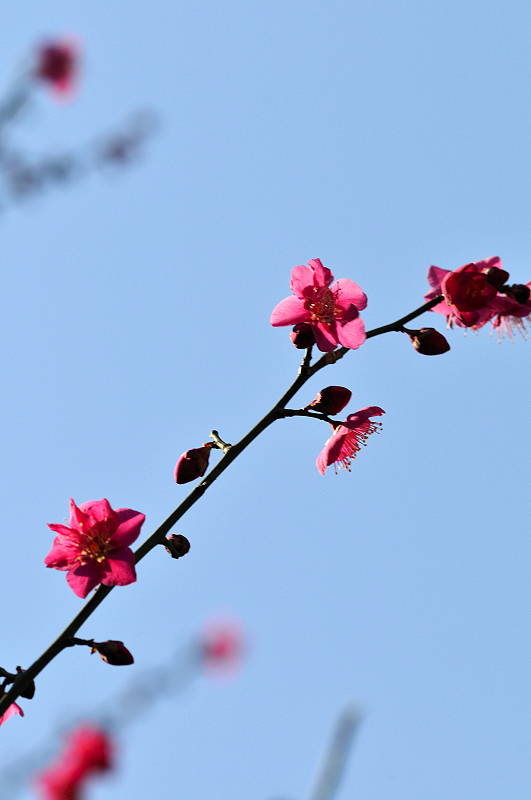 image0117