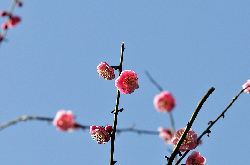 image0122