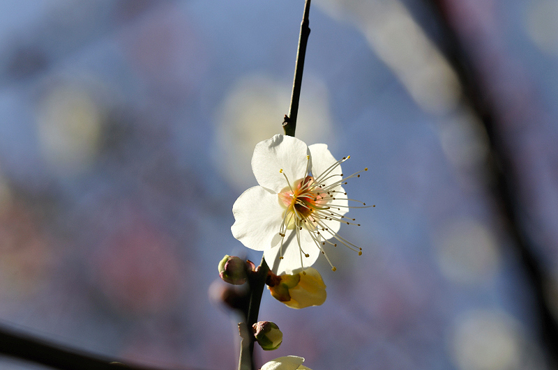 image0123