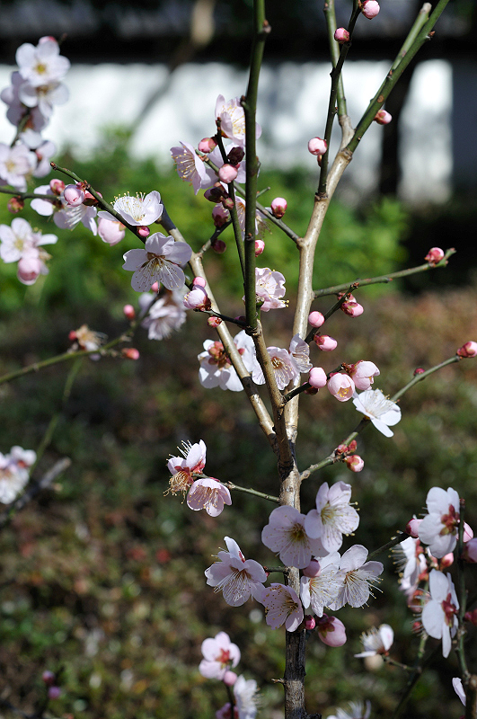 image0129