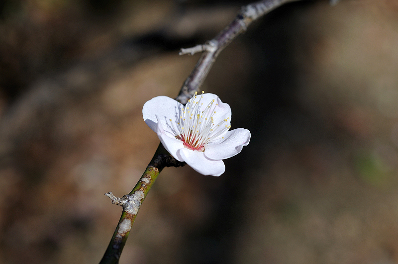 image0130