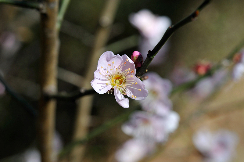 image0131