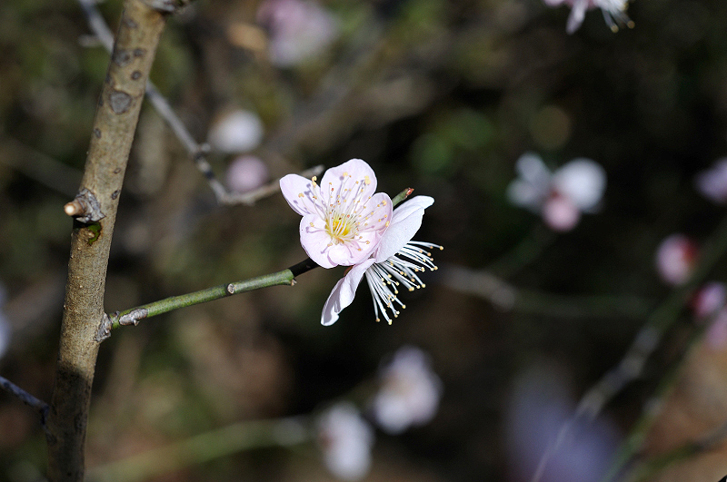 image0133