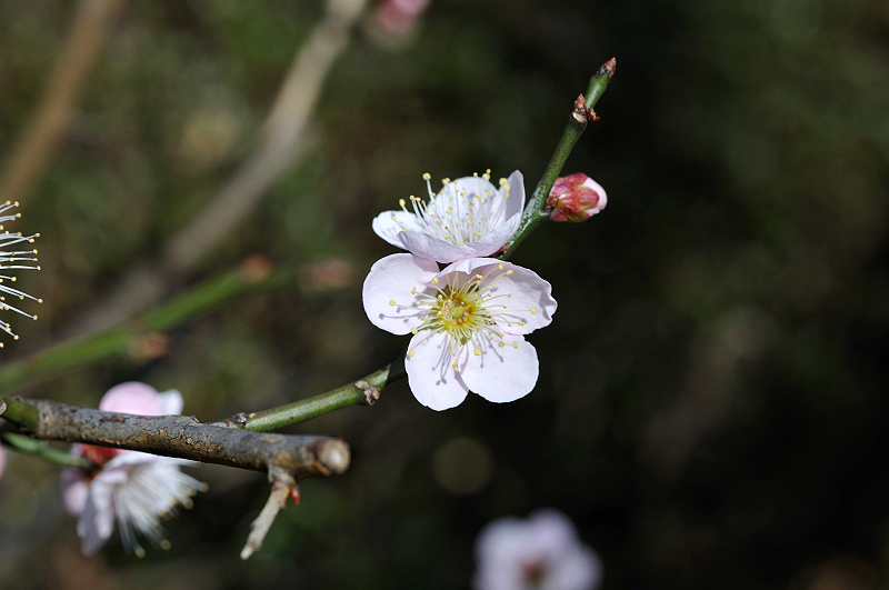 image0134