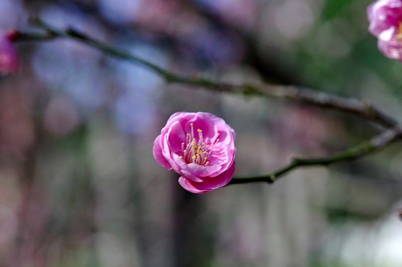 image0136