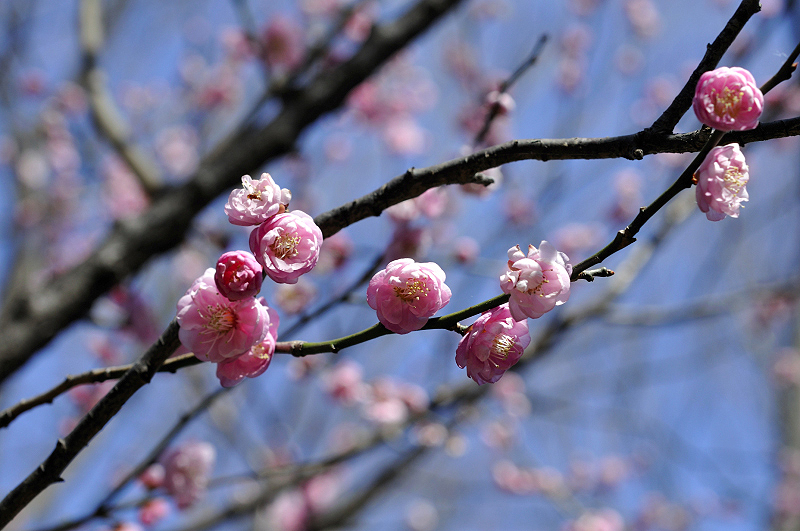 image0137