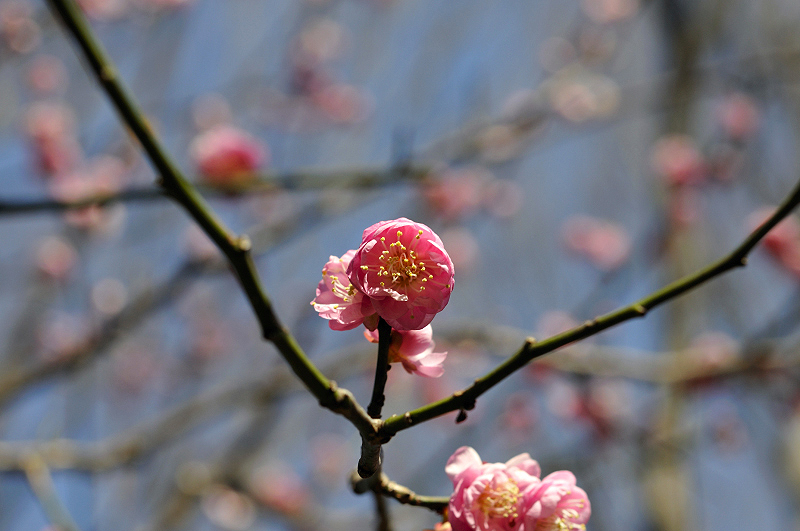 image0138