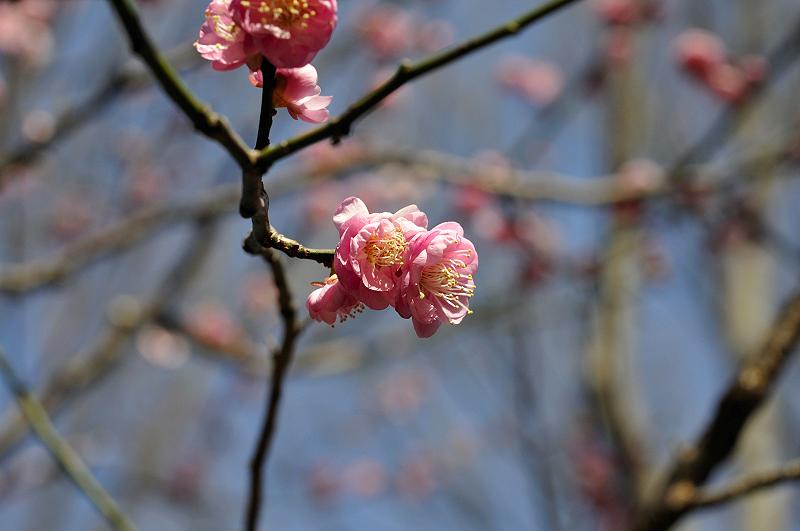 image0139