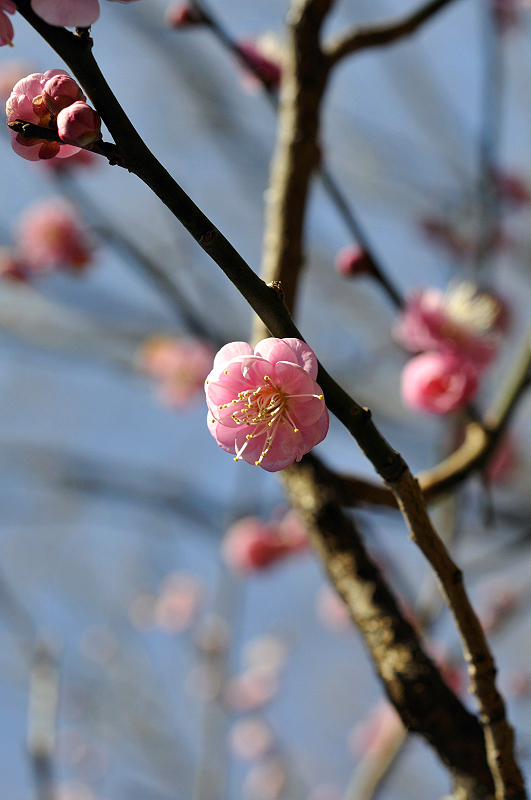 image0141