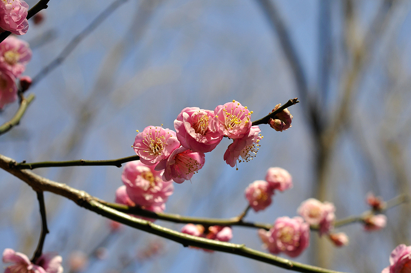 image0143