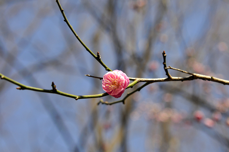 image0145