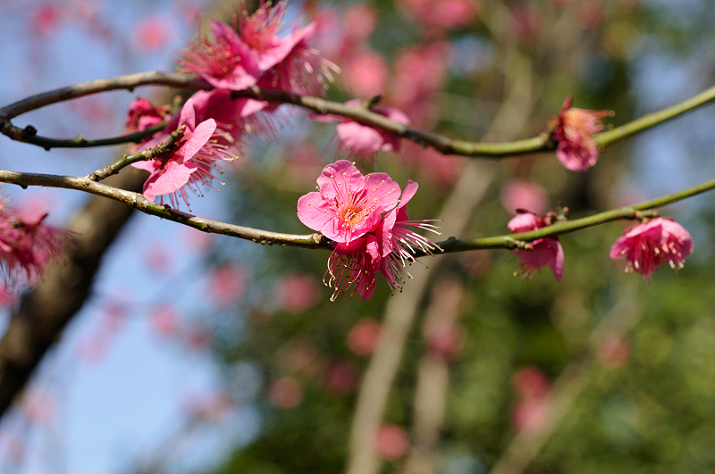 image0147