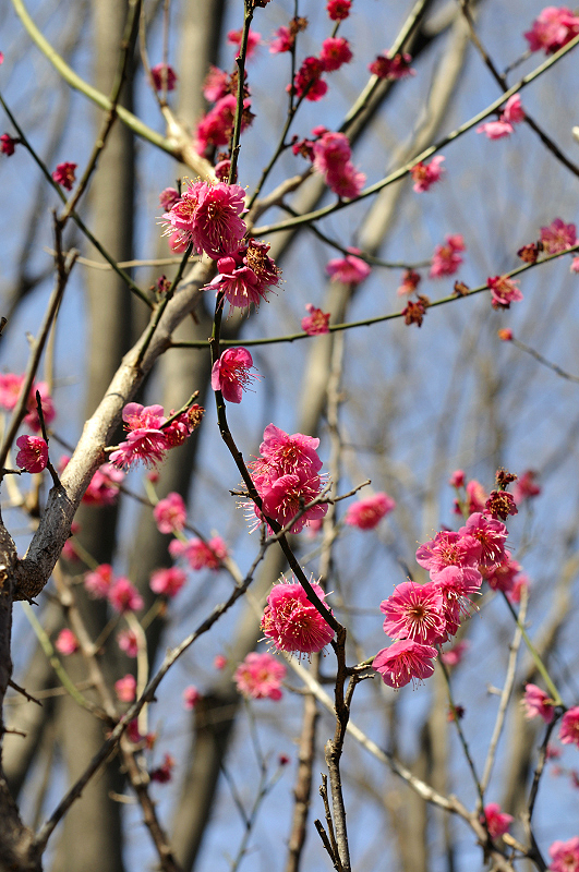 image0151