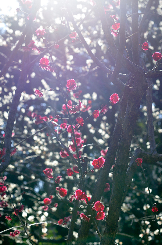 image0158