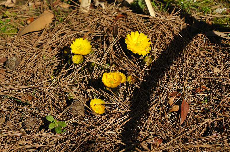image0161