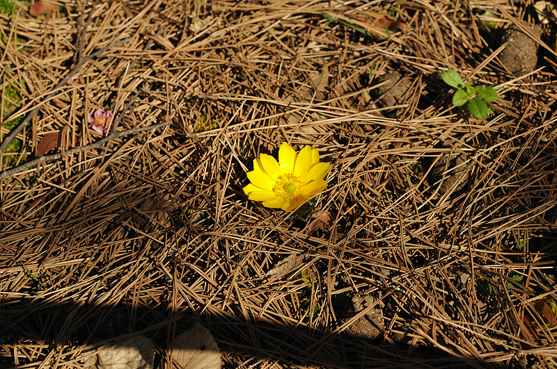 image0162