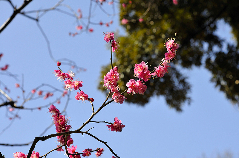 image0163