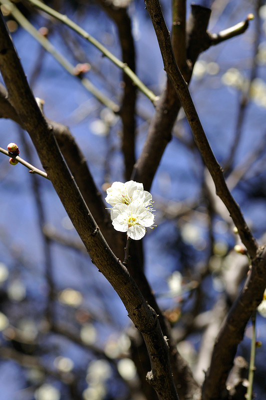 image0170