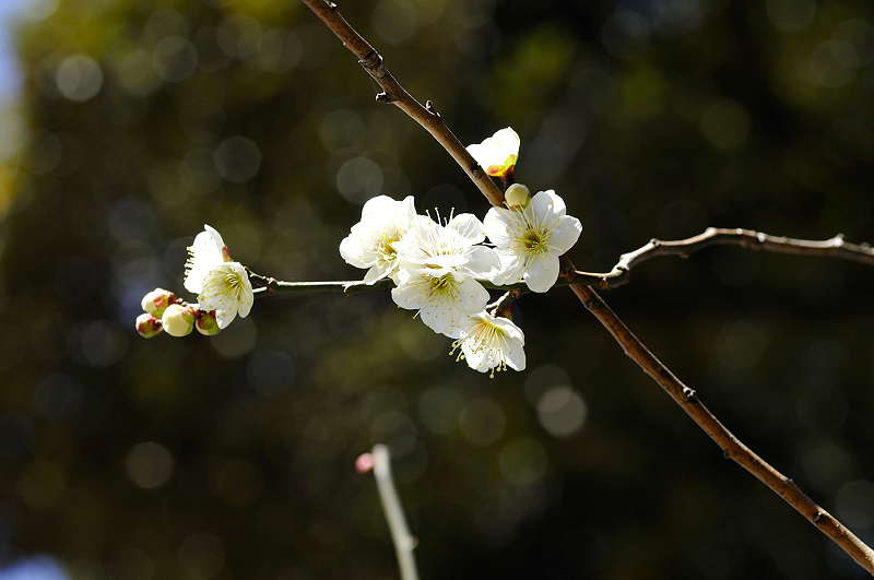 image0171